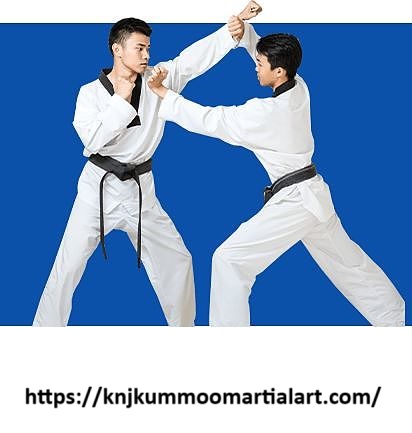 Adult martial arts training 2