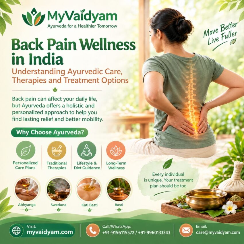 Back Pain Wellness in India Understanding Ayurvedic Care Therapies and Treatment Options