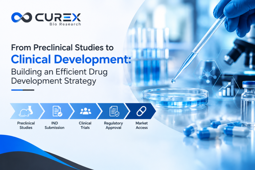 From Preclinical Studies to Clinical Development Building an Efficient Drug Development Strategy 3