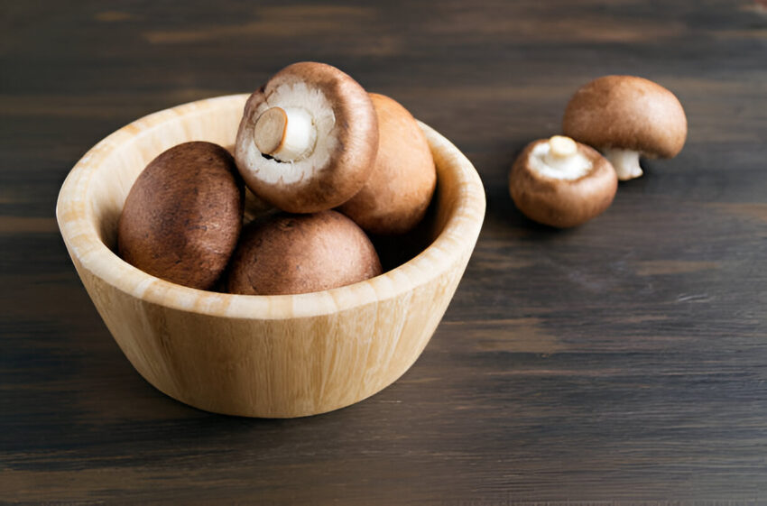 Mushroom infused chocolate bar