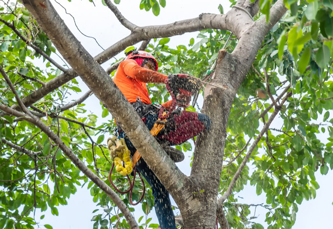 1 1