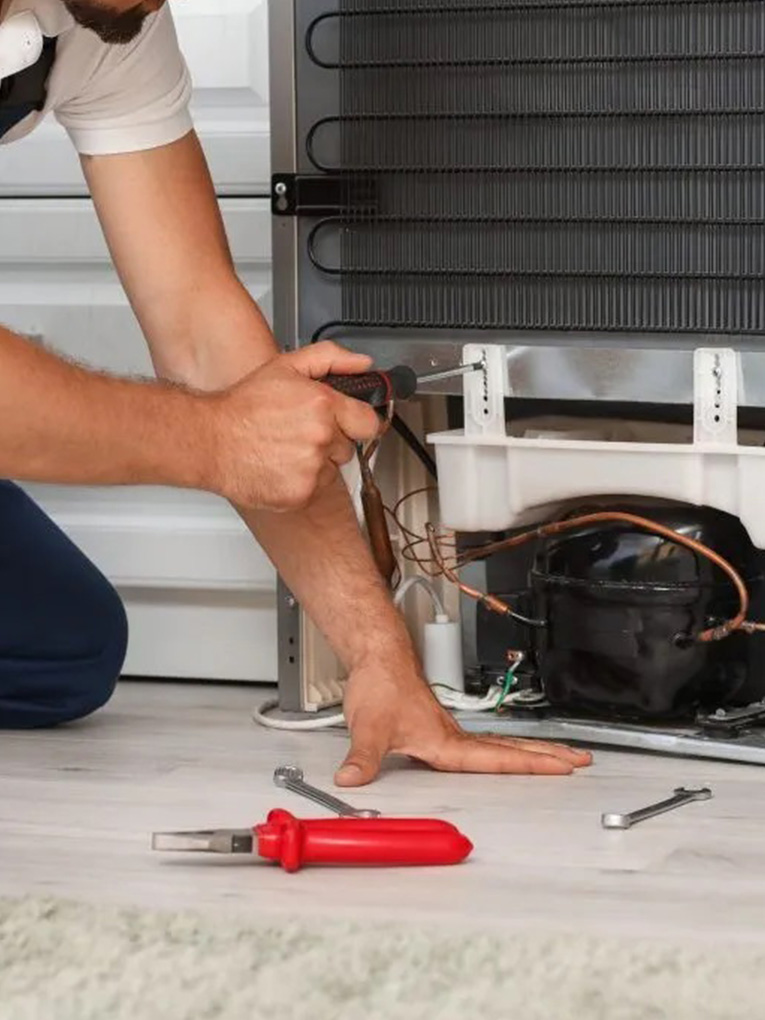 Fridge Repair