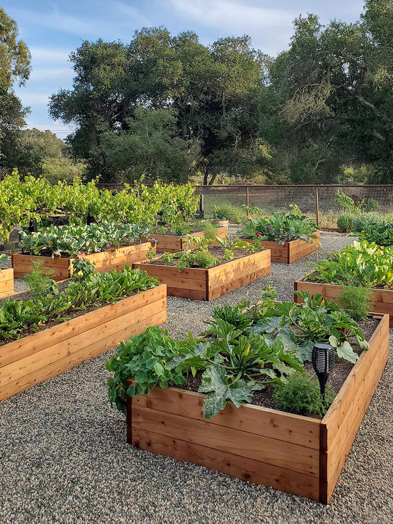 Raised Garden Beds