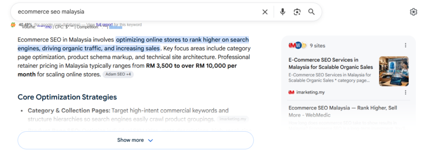ecommerce SEO Malaysia