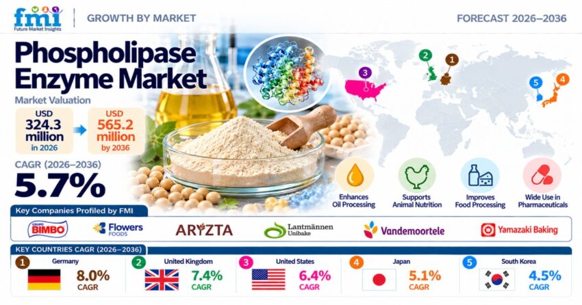 Phospholipase Enzyme Market