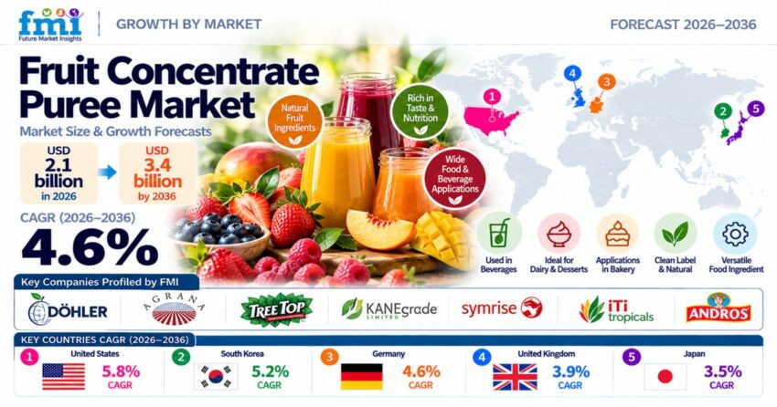 Fruit Concentrate Puree Market