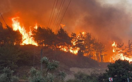 Wildfires Spread Across Murree Forests, Affecting 49 Areas