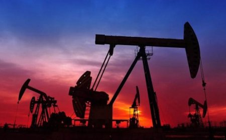 OGDCL Discovers New Oil and Gas Reserves in Sindh and Punjab