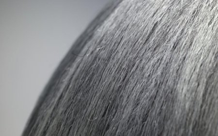 Psychological Stress Causes Hair To Turn Grey