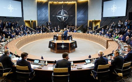 Russia vs. NATO: The Rising Global Tension