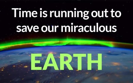 Climate Change in 2025: Are We Running Out of Time?