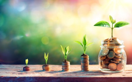 The Psychology of Money How to Develop a Wealth Mindset
