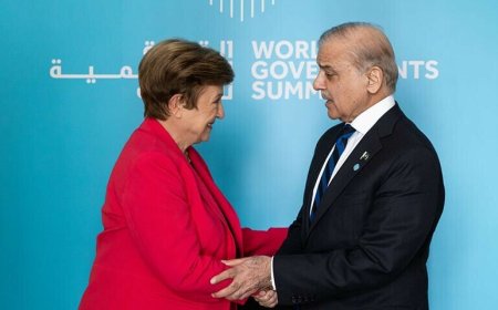 IMF Chief Backs Reforms in Meeting with PM Shehbaz