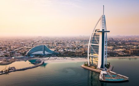 Pakistanis Set up Record 8,000 New Companies in UAE in 2024