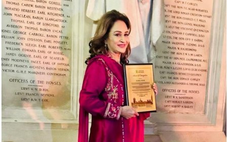Bushra Ansari Receives Star of Pakistan in UK