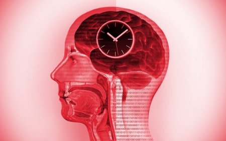 How Fasting Boosts Brain Function and Cognitive Health