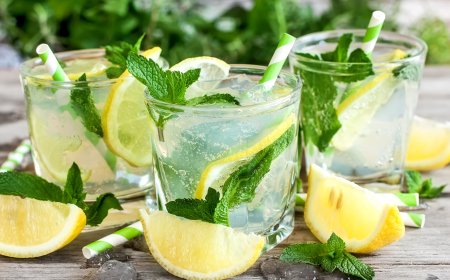 Lemon Mint Mojito Recipe