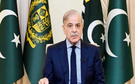 Pakistan's IT Workforce Can Compete Globally: PM Shehbaz