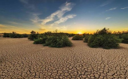 PMD Warns of Severe Drought in Sindh, Balochistan & Punjab
