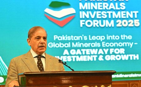 PM: Trillion Dollar Minerals Can Free Pakistan