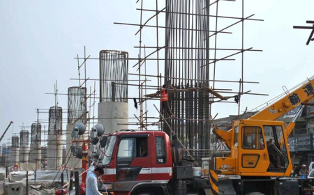 Govt Scraps 24% Projects Amid Budget Crunch