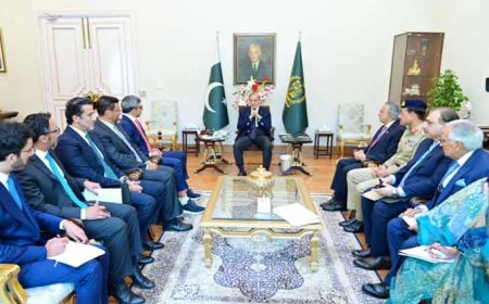 PM Honors Overseas Investors with Civil Awards