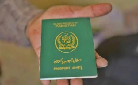 Fake Pakistani Passports Used by 1,296 Afghans