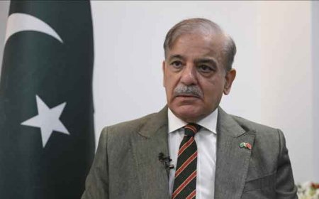 PM Shehbaz briefs Trump’s aide on Pak-India tension
