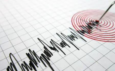 massive 7.3 magnitude earthquake jolts Argentina