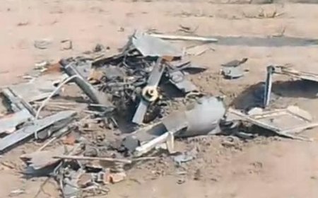 Pakistan Armed Forces Shoot Down 77 Indian Drones