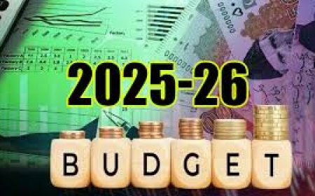 Govt Plans to Tax Online Shopping in Budget 2025