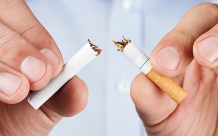 ANF Raises Alarm Over Drug Use Among University Students