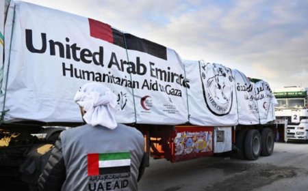 UAE to Send Aid to Gaza After Reaching Agreement with Israel