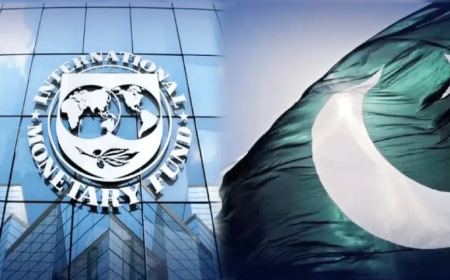 IMF Slams Pakistan's Budget Targets, Rejects Several Proposals