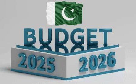 IMF, Govt Resume Budget Talks Ahead of June 10