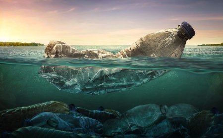 Japan Develops Plastic That Dissolves in Seawater Fast