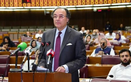 Govt Proposes Rs 1.75B budget for PM office in Budget 2025-26
