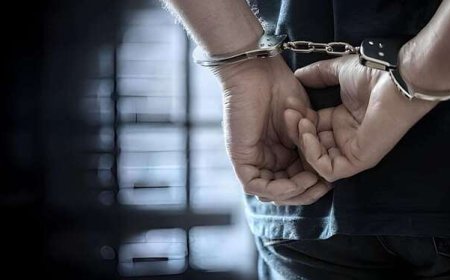 FBR Can Now Arrest CEOs, CFOs Over Tax Evasion