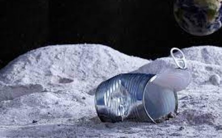 Humans Have Left 200 Tons of Trash on the Moon