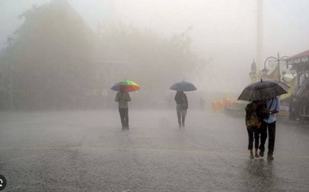 Monsoon 2025 Hits Lahore: Rain & Forecast Across Pakistan