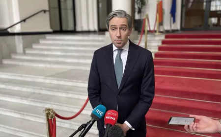 Ireland Becomes First in Europe to Ban Israeli Imports