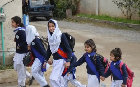 45,000 Fake Students Discovered in Lahore School Records