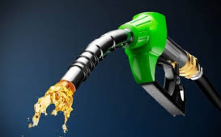 Petrol Price Shoots Up Again New Rate Rs 266.79/Liter