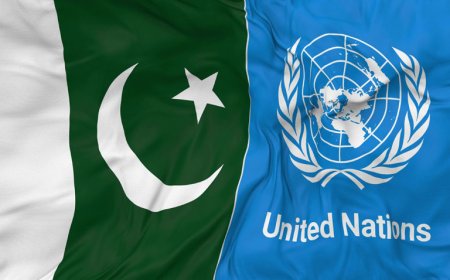 Pakistan Takes Over UN  Security Council Presidency