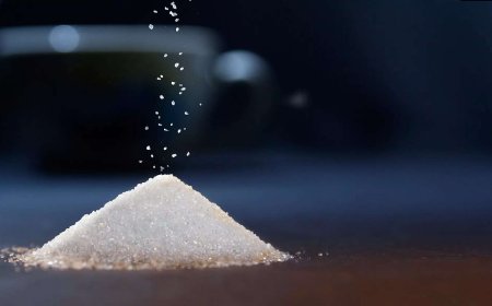 Government Decides to Increase Sugar Prices