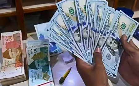 The rupee fell to 291 against the US dollar in the open market