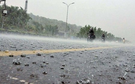Punjab's Monsoon Rains to Continue Through July 25