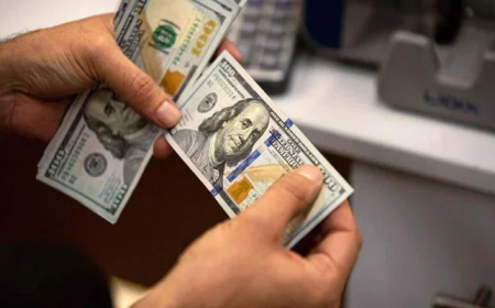 Profit Repatriation Down by Over 72% in June 2025