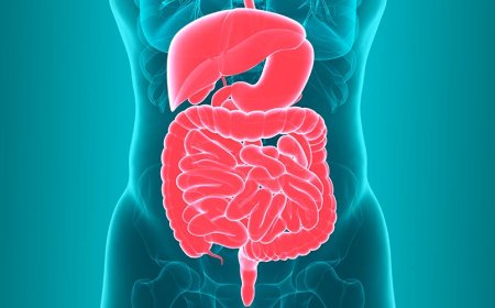 The Power of Gut Health: How It Affects Mental Wellbeing