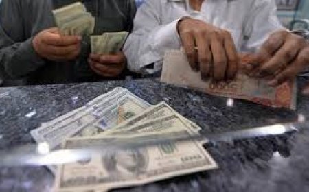 FIA Seizes US Dollars in Crackdown on Illegal Currency Trade